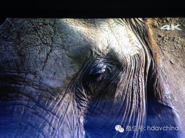 Golden Sound正式宣布！從我們的入門款產品V1000開始所以型号，已經完全通過4K／60P／20米。並且；完全支持下一世代4k藍光規格。