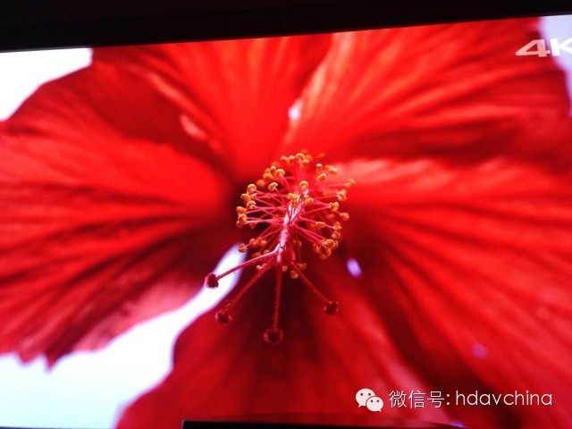 Golden Sound正式宣布！從我們的入門款產品V1000開始所以型号，已經完全通過4K／60P／20米。並且；完全支持下一世代4k藍光規格。