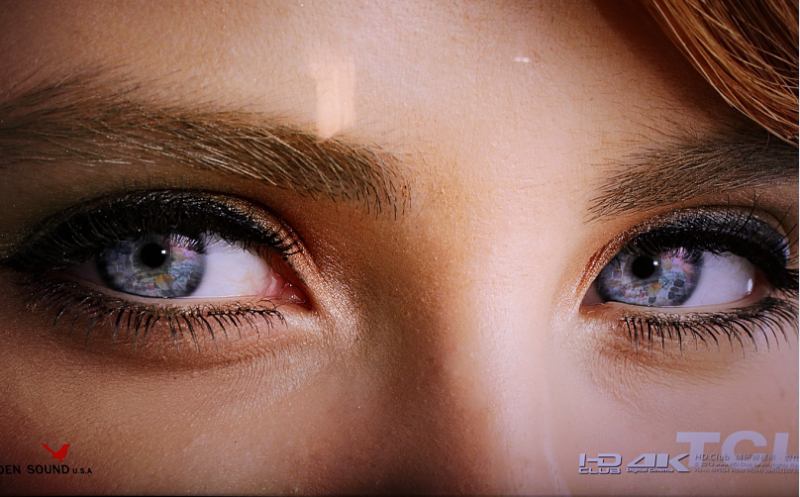 2015年3月27-28号沈阳4K巡展